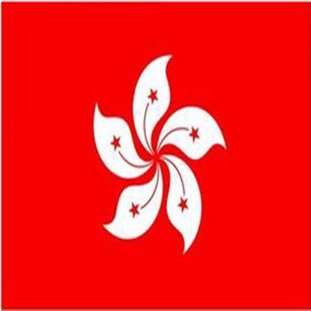 香港特区政府武汉办